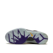 Nike Kobe 4 Protro Carpe Diem