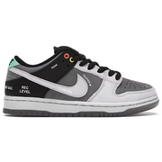 Nike SB Dunk Low VX1000