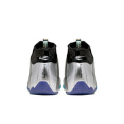 Nike Air Flightposite China Hoop Dreams